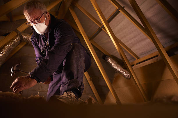 Types of Insulation We Offer in Union, KY